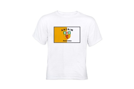 White T-Shirt - Full Chest GAA Flag